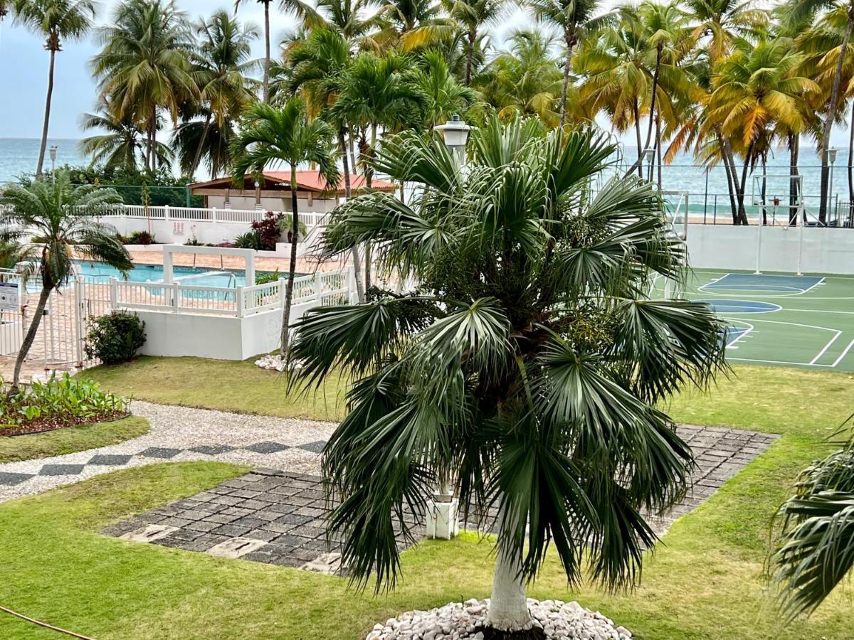 Beachfront Tropical Tantra Apartment San Juan Kültér fotó